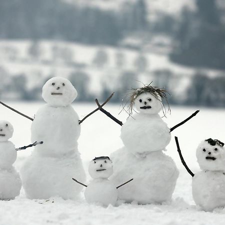 Les Balcons Proche Parc National Vanoise Studios تيرمينو المظهر الخارجي الصورة